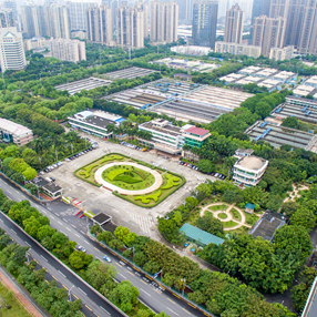 拼搏（中国）